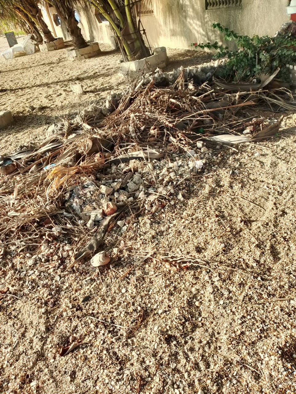 État des lieux de la plage de Nianing, photo 6