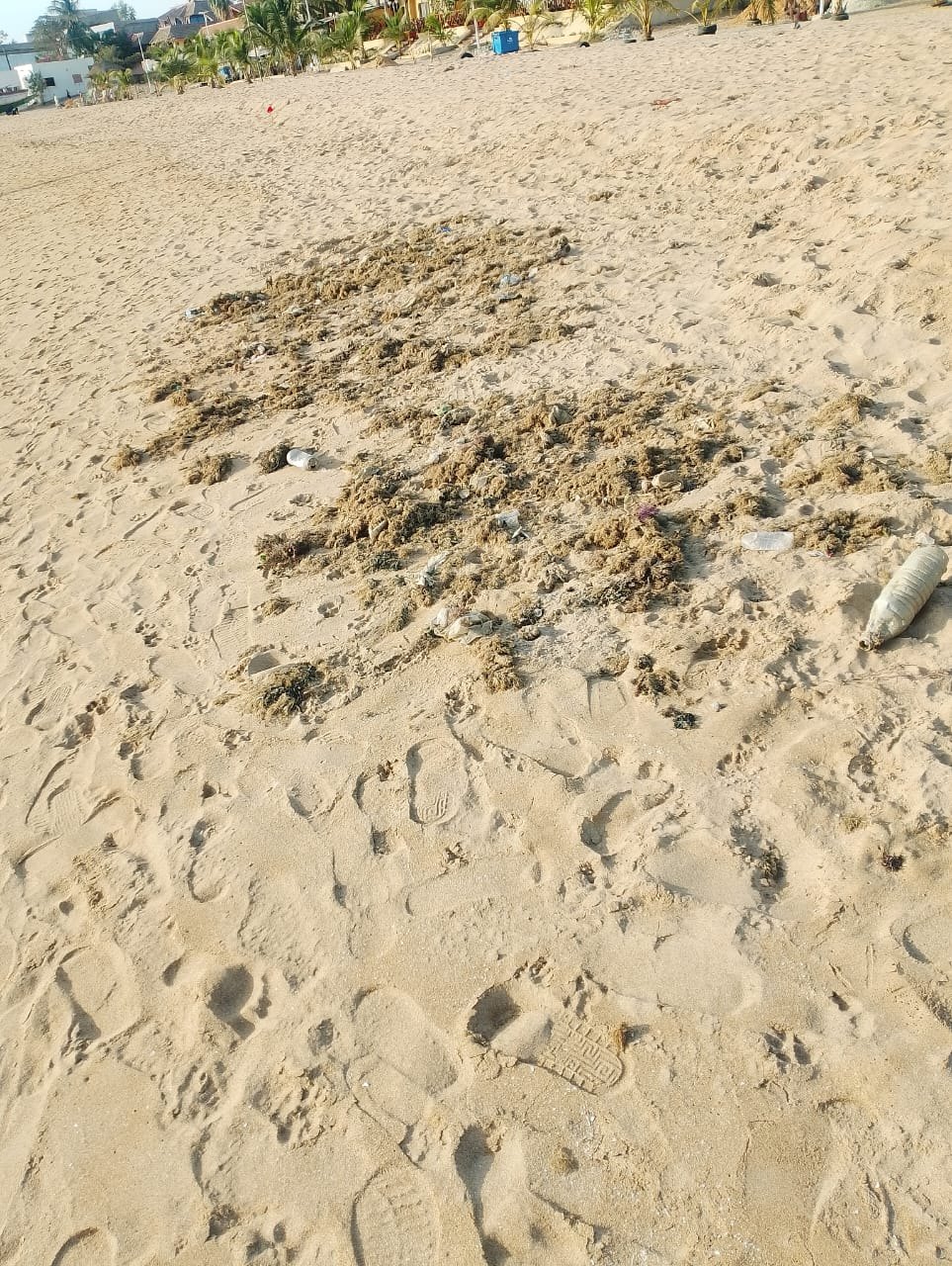 État des lieux de la plage de Nianing, photo 7