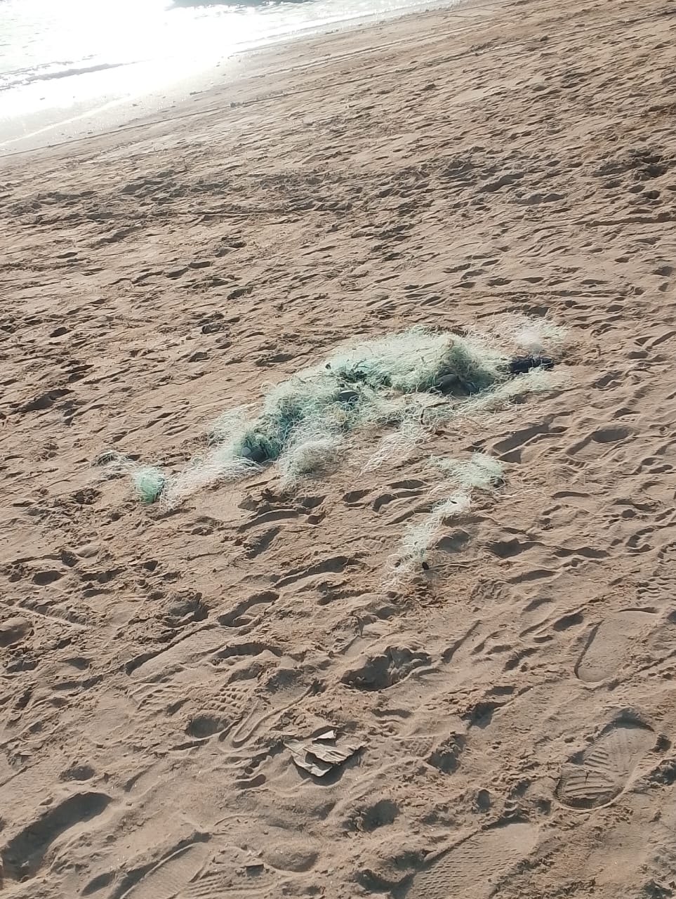 État des lieux de la plage de Nianing, photo 8
